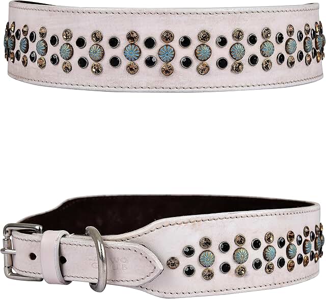 White Leather Dog Collar with Rhinestones and Padding