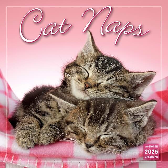 2025 Wall Calendar with Cat Photos, 12x12 inches
