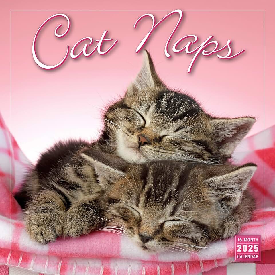 2025 Wall Calendar with Cat Photos, 12x12 inches
