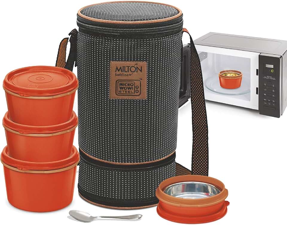 Stainless Steel Bento Lunch Box Set with Insulated Bag