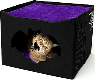 Gothic Cat Bed with Bat Entrance and Toy
