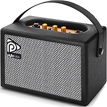 Portable Electric Guitar Amplifier with 5-inch Speaker