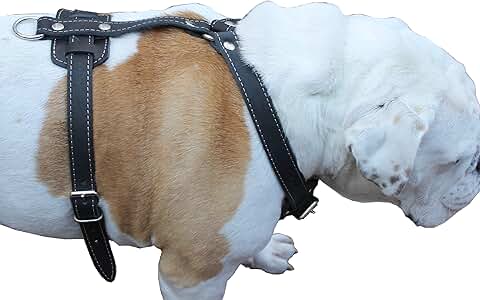 Genuine Leather Dog Harness for Large Breeds