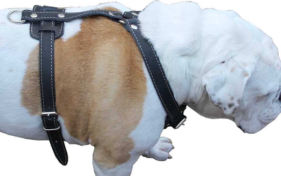 Genuine Leather Dog Harness for Large Breeds