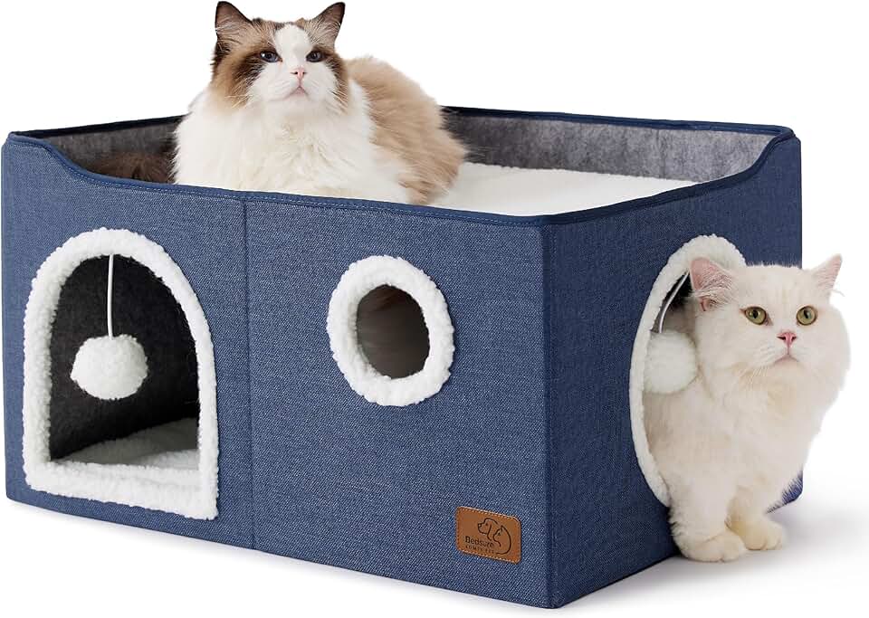 Large Cat Bed with Cube Design and Accessories