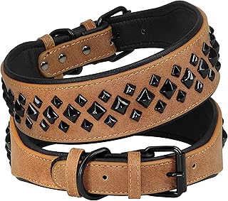 Large 2" Wide Padded Leather Dog Collar for Rottweiler
