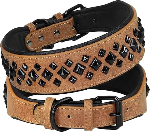 Large 2" Wide Padded Leather Dog Collar for Rottweiler