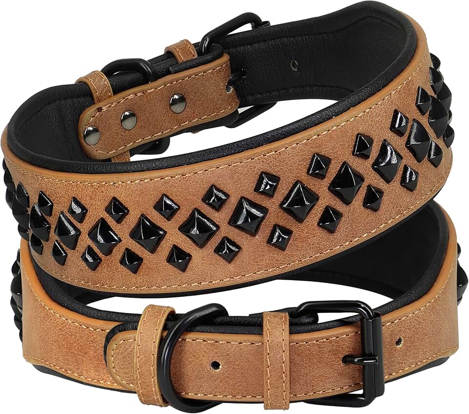Large 2" Wide Padded Leather Dog Collar for Rottweiler