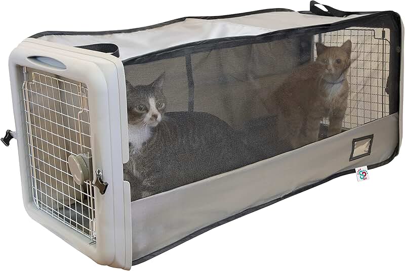 Large Pop Open Pet Kennel and Travel Bed