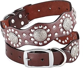 Genuine Leather Dog Collar for Medium & Large Dogs