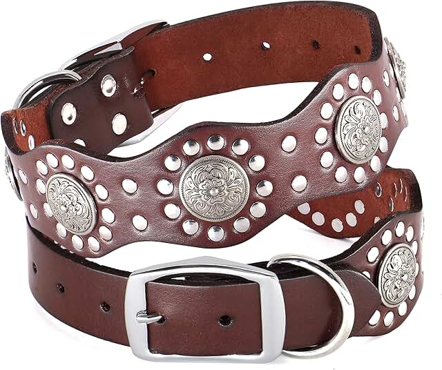Genuine Leather Dog Collar for Medium & Large Dogs