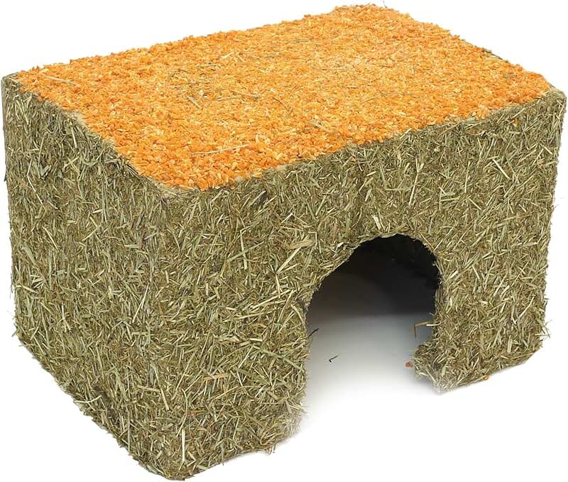 Carrot Cottage House for Small Pets, Medium
