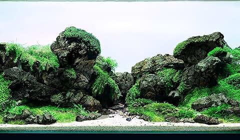 Black Icelandic Lava Stone Rocks for Aquariums and Terrariums