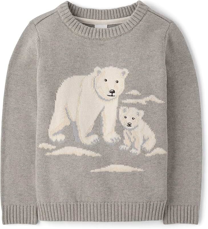 Baby Boys' Long Sleeve Embroidered Sweater