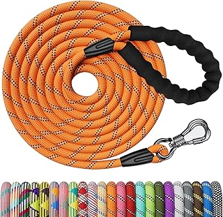 Long Dog Leash with Lockable Hook and Padded Handle