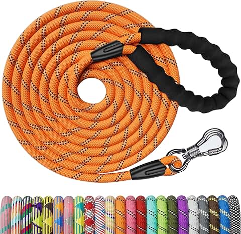 Long Dog Leash with Lockable Hook and Padded Handle