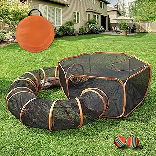 Outdoor Cat Enclosure with Tunnel and Play Area