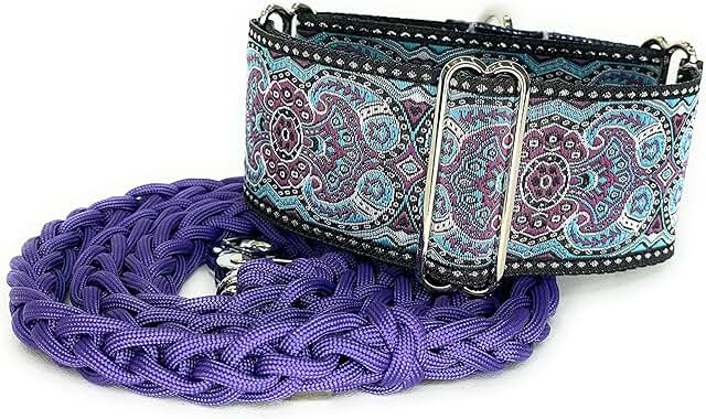 Martingale Dog Collar and Leash Set for Medium Breeds