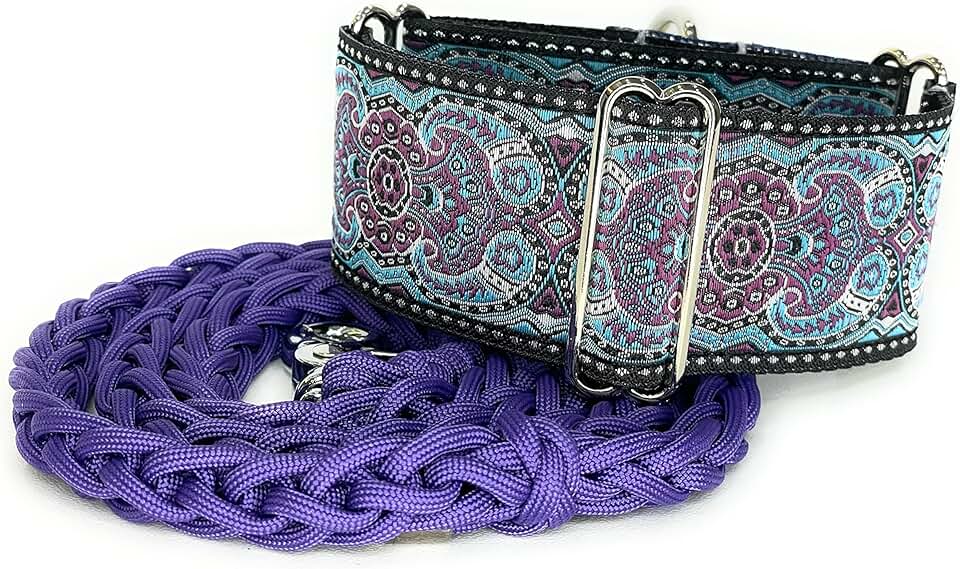 Martingale Dog Collar and Leash Set for Medium Breeds