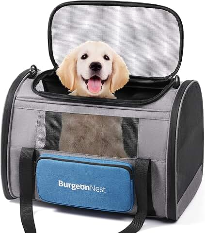 Large Cat and Small Dog Travel Carrier with Ventilation