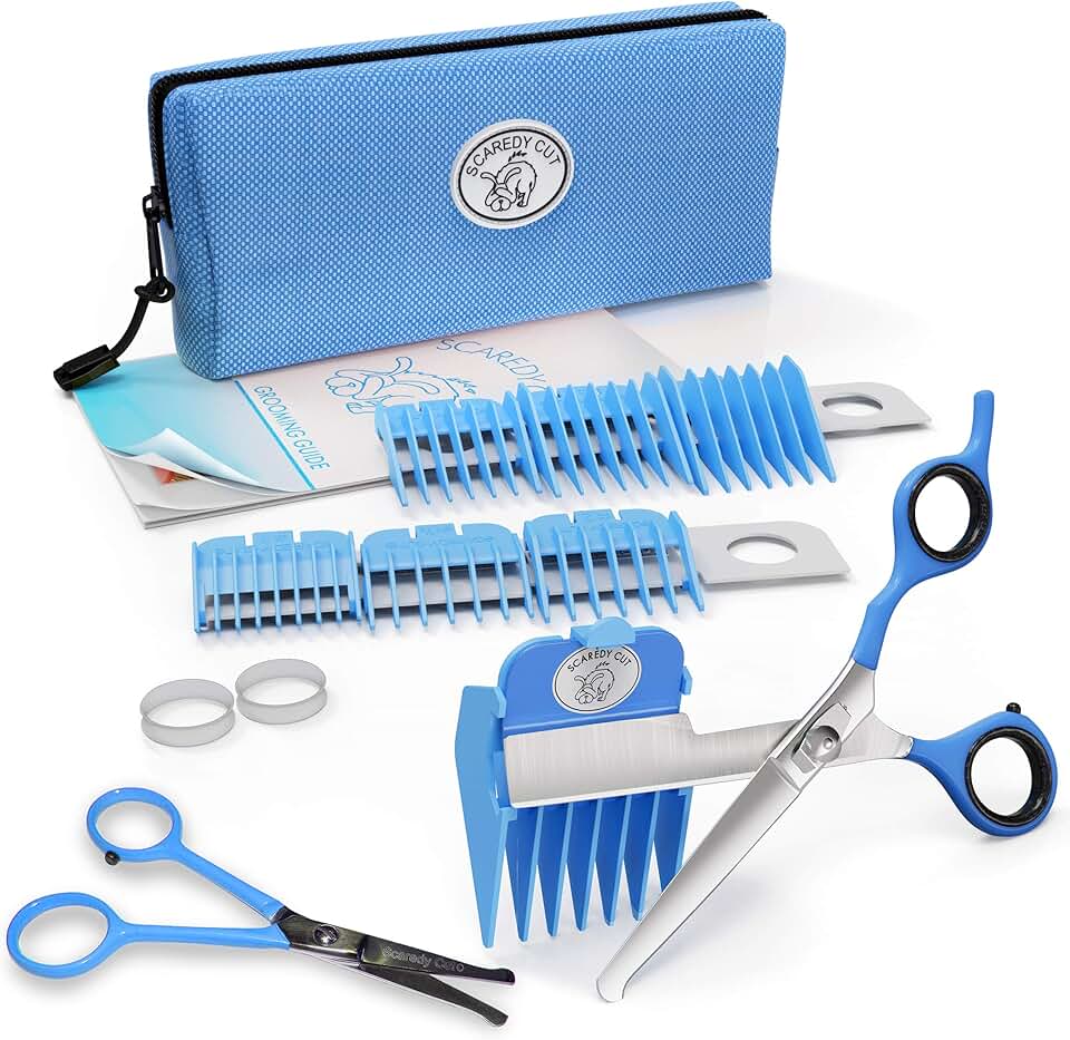 Silent pet grooming scissors and clippers in blue
