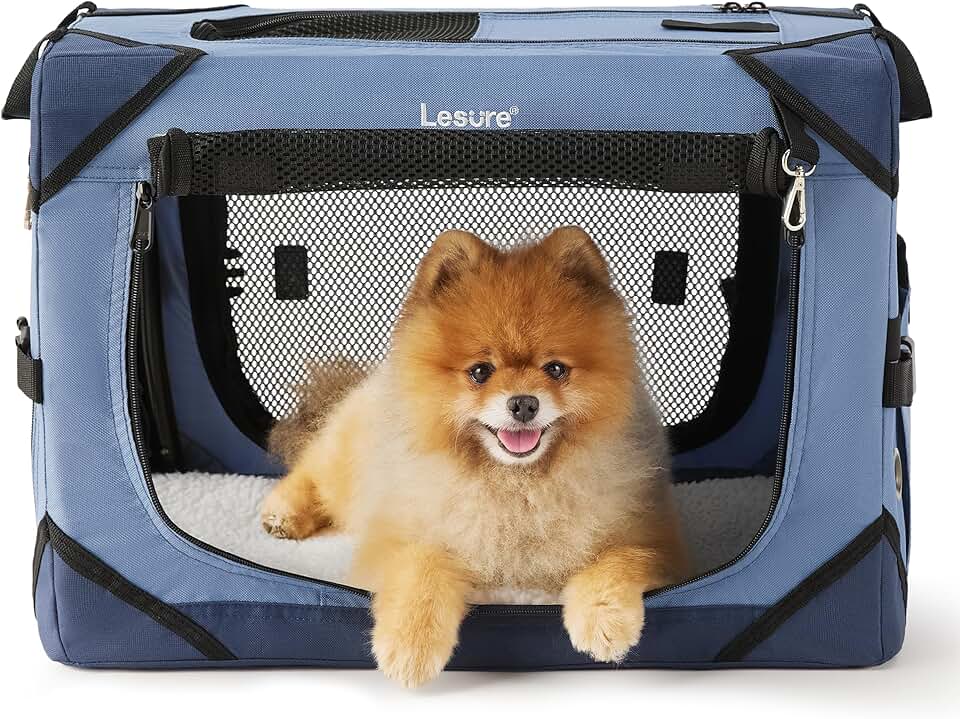Collapsible Dog Crate for Small Dogs with Mesh Windows
