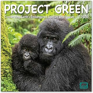 2026 Green Wall Calendar, 12x12 inches