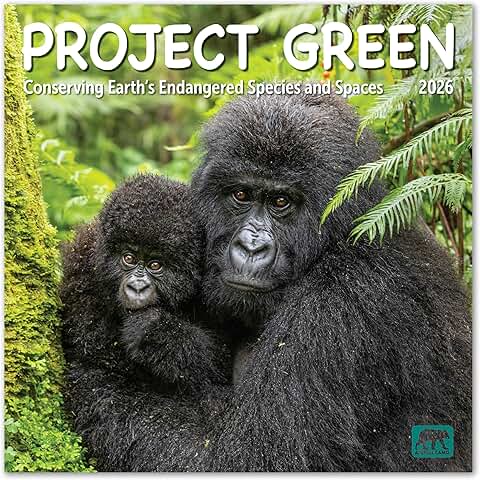 2026 Green Wall Calendar, 12x12 inches