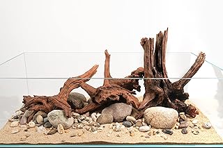 Natural Driftwood for Aquarium and Reptile Enclosures