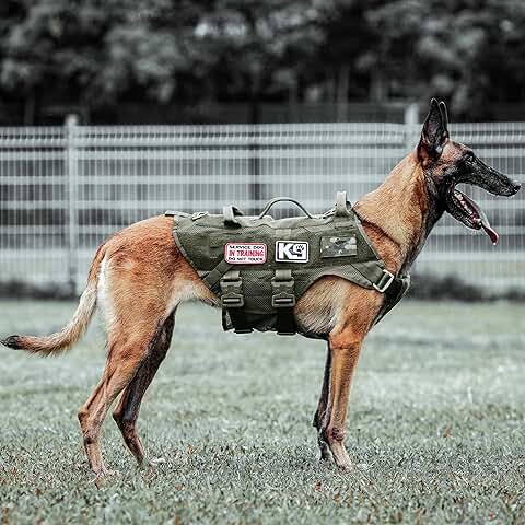 Tactical Dog Harness for Large Working and Service Dogs