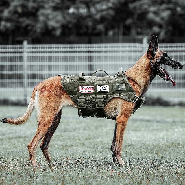 Tactical Dog Harness for Large Working and Service Dogs