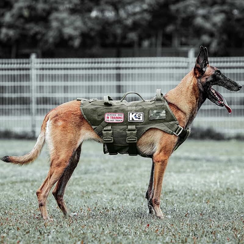 Tactical Dog Harness for Large Working and Service Dogs