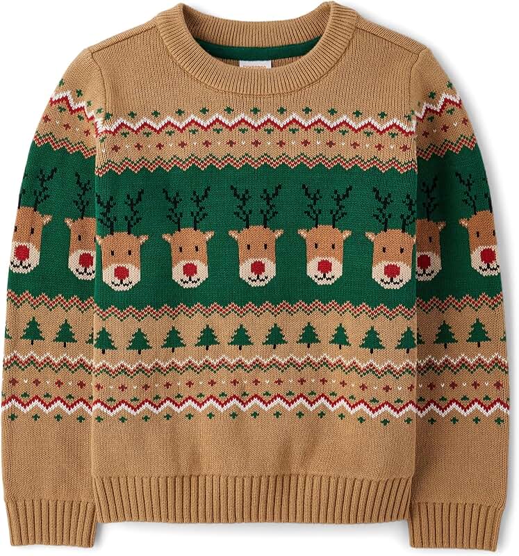 Long Sleeve Crew Neck Sweater for Boys and Toddlers