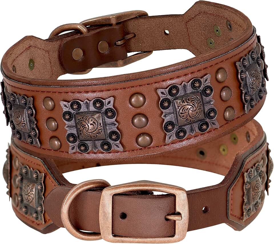 Leather Dog Collar for Large Dogs, Soft Padded, 22-25"