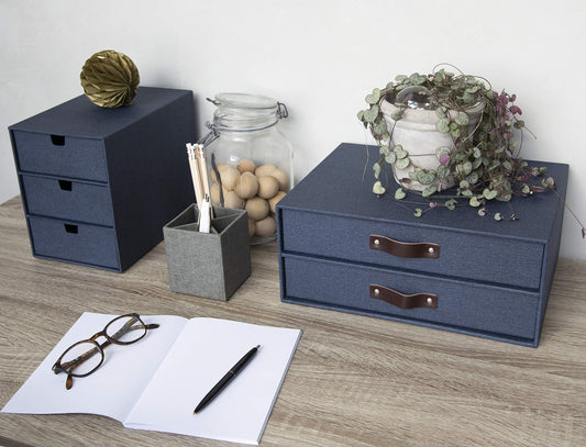 Blue 2-Drawer Canvas Fiberboard Letter Document Box