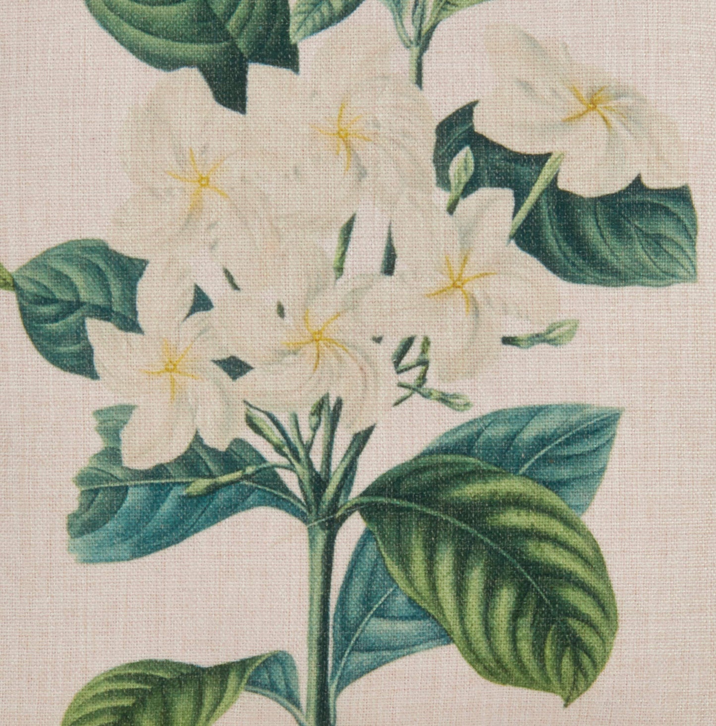 Floriculture Gardenia Design Throw Pillow 18" Natural