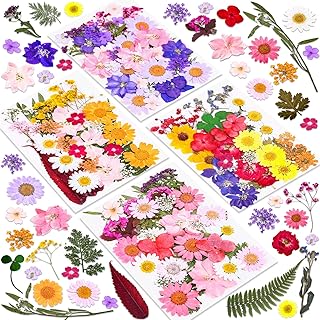 140 Pcs Dried Pressed Flowers for Crafts and Resin