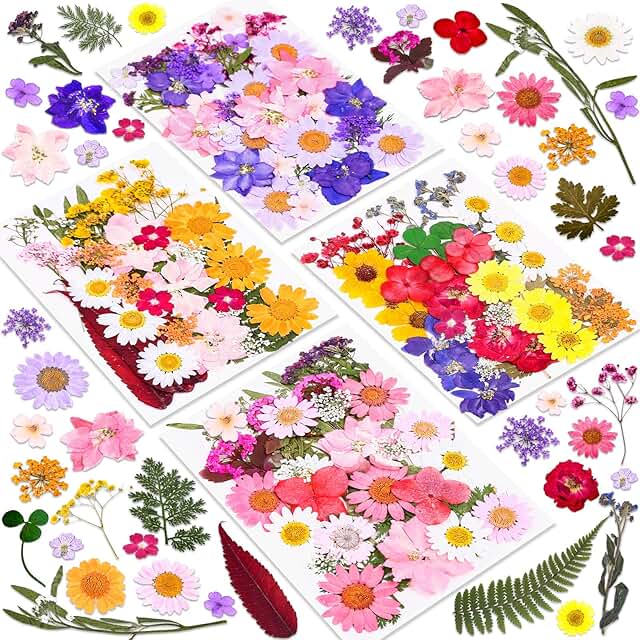 140 Pcs Dried Pressed Flowers for Crafts and Resin