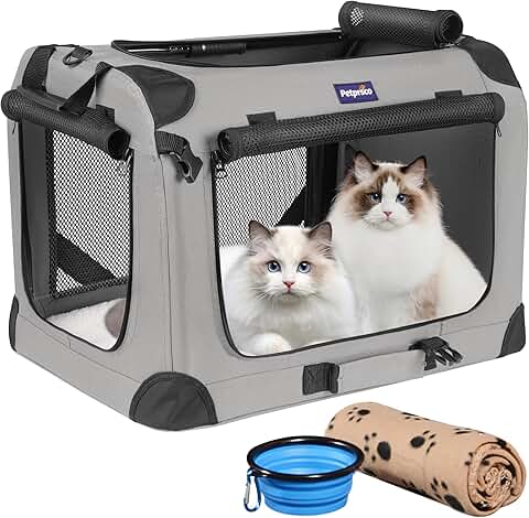 Large Cat and Small Dog Carrier with Blanket and Bowl