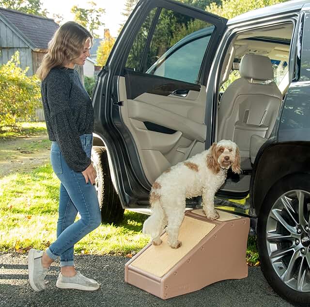 Pet stair and ramp combo for dogs and cats