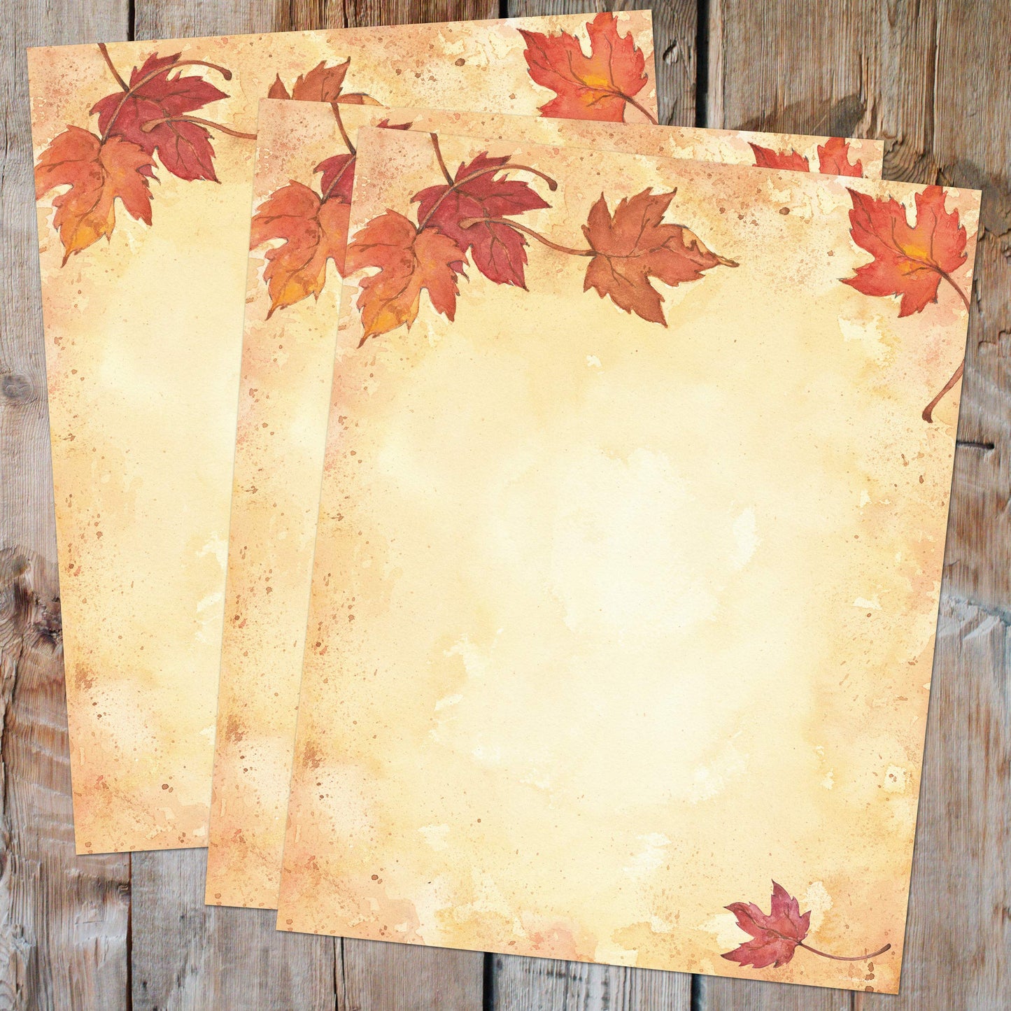 Fall Leaves Letterhead, 80 Sheets, 8.5" x 11"