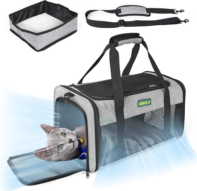 Pet Carrier for Small Cats and Dogs in Cabin