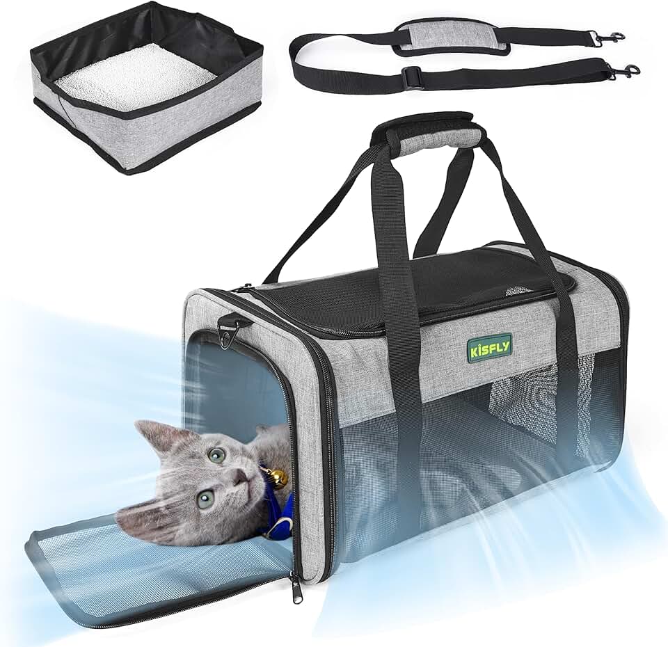 Pet Carrier for Small Cats and Dogs in Cabin