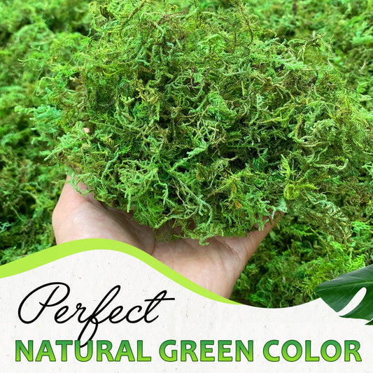 Artificial Green Moss for Decor, 140g