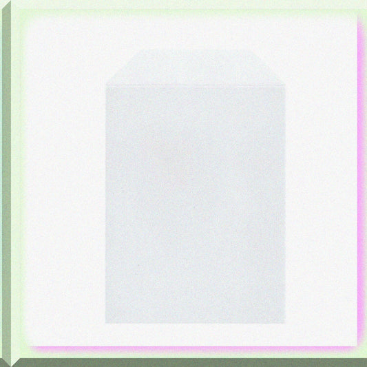 100 Clear Stamp and Die Storage Pockets 8.5"X5.5"