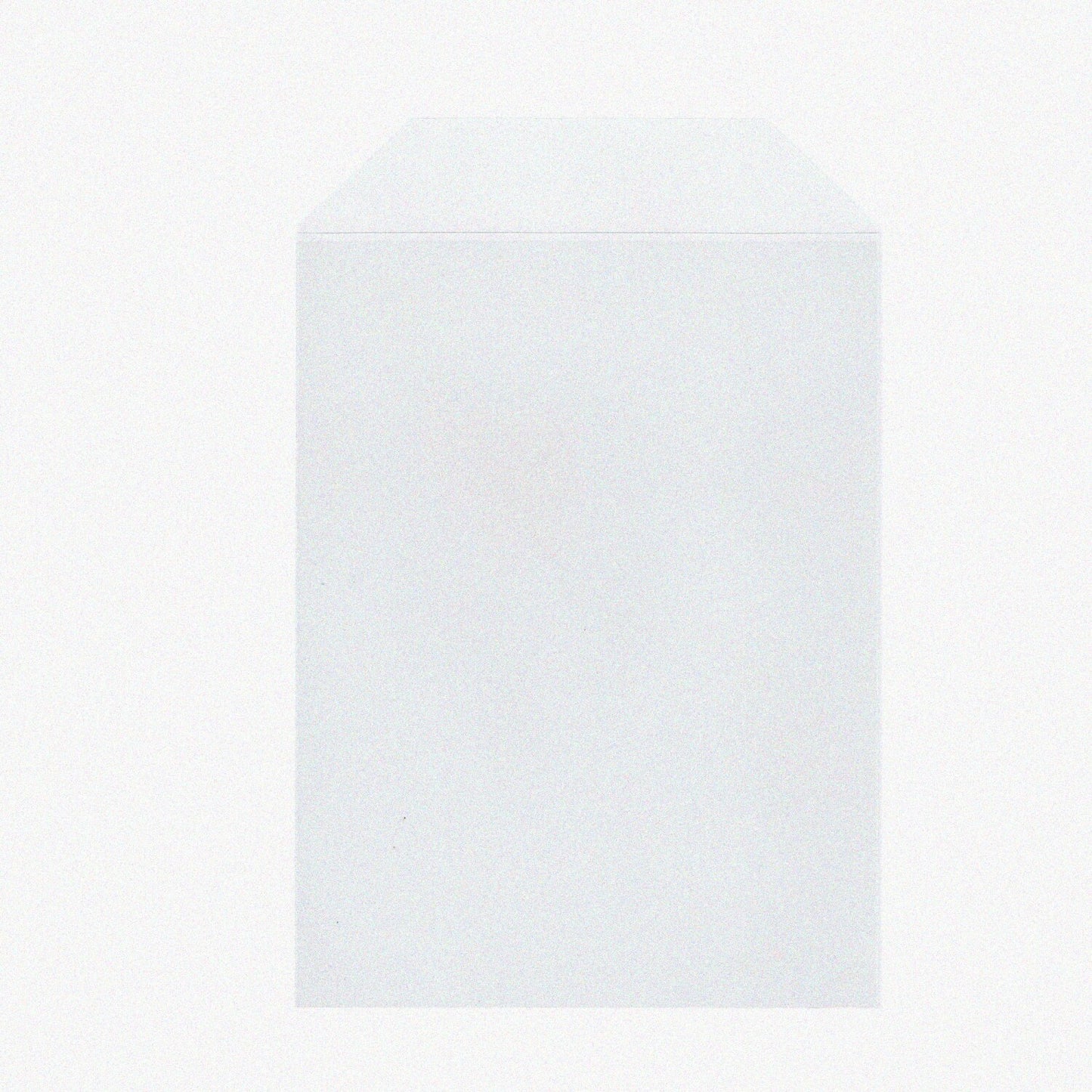 100 Clear Stamp and Die Storage Pockets 8.5"X5.5"