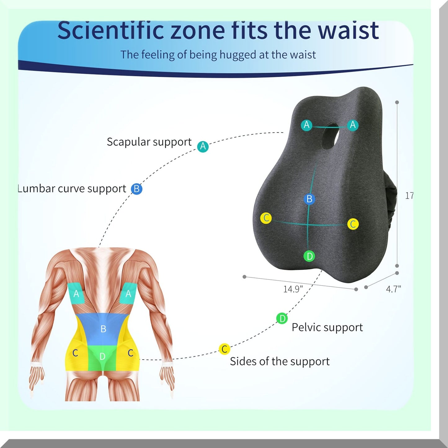 ErgoRelief Memory Foam Lumbar Support Pillow Cover - Orthopedic Backrest for Office Chair, Computer Chair, Car Seat, Recliner, Couch - Dark Gray