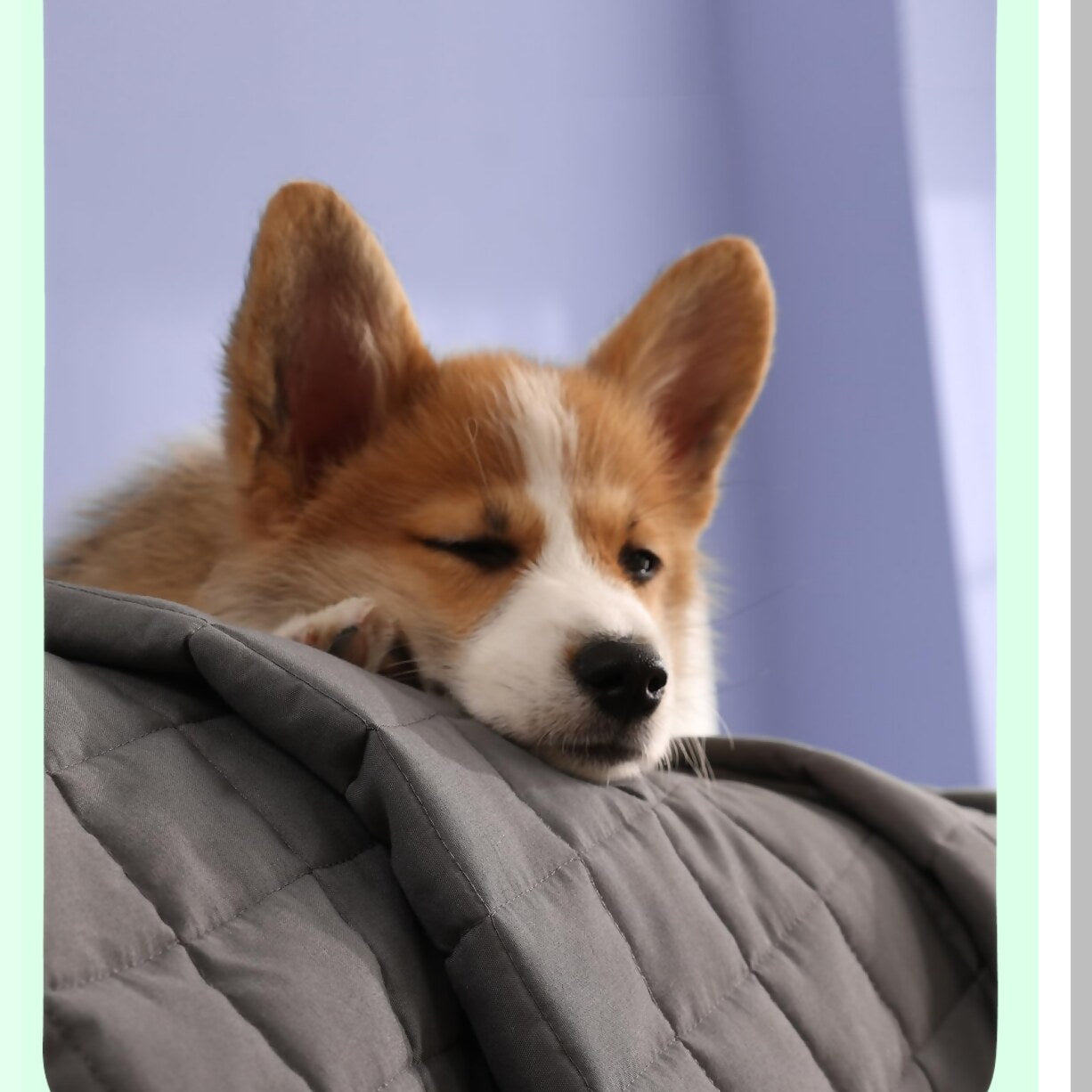 CalmRest 15lbs Weighted Blanket - Small Compartments, Glass Beads, Ideal for Twin/Full Bed, 48x72 Inches, Dark Grey