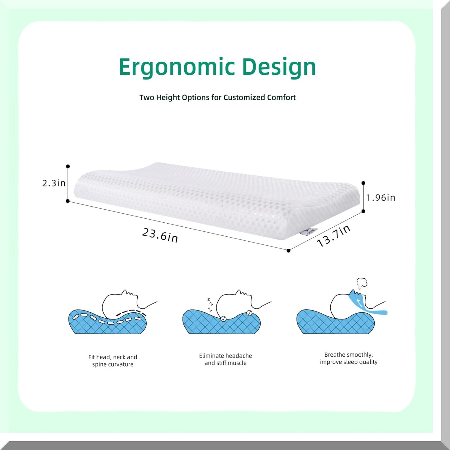 UltraSlim Latex Sleep Pillow - Contour Low Profile for Neck Pain Relief - Thin Design for Stomach, Back, and Side Sleepers - 24 x 15.5 x 2.3/3.2 inch Dimensions