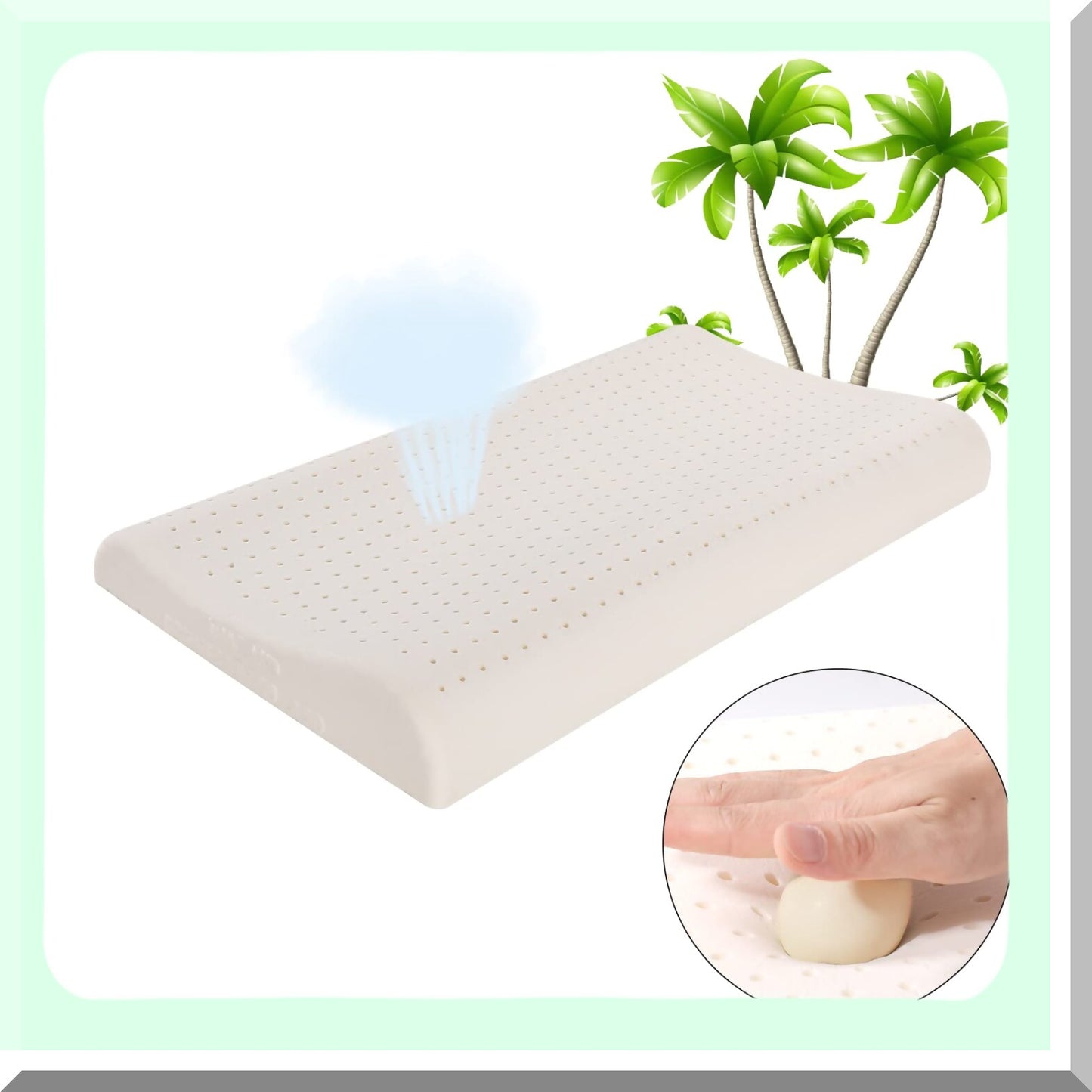 UltraSlim Latex Sleep Pillow - Contour Low Profile for Neck Pain Relief - Thin Design for Stomach, Back, and Side Sleepers - 24 x 15.5 x 2.3/3.2 inch Dimensions